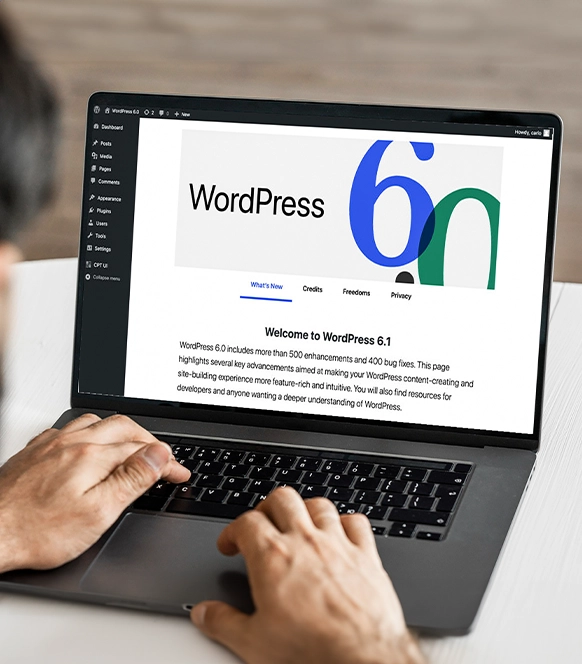wordpress-development